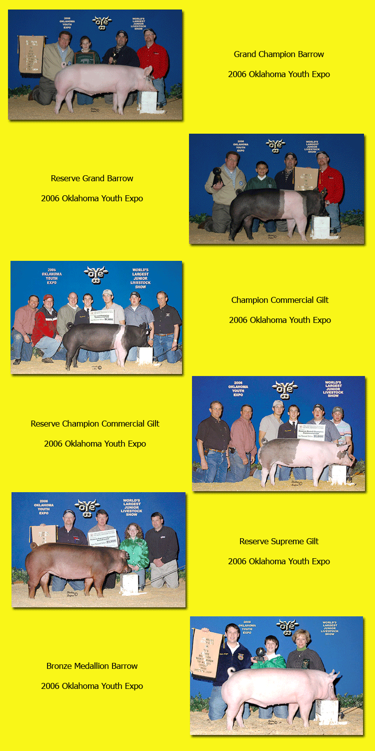 06 Winners