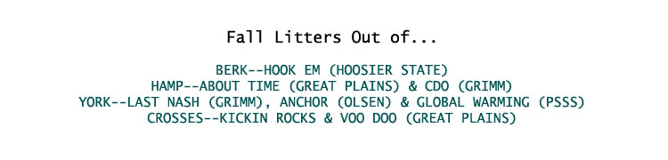 Fall Litters
