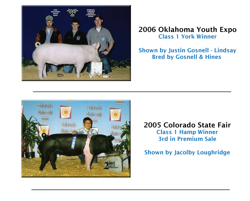 Hines Show Pigs Winners