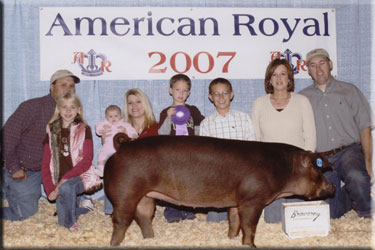 Champion Duroc