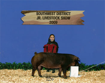 sw district