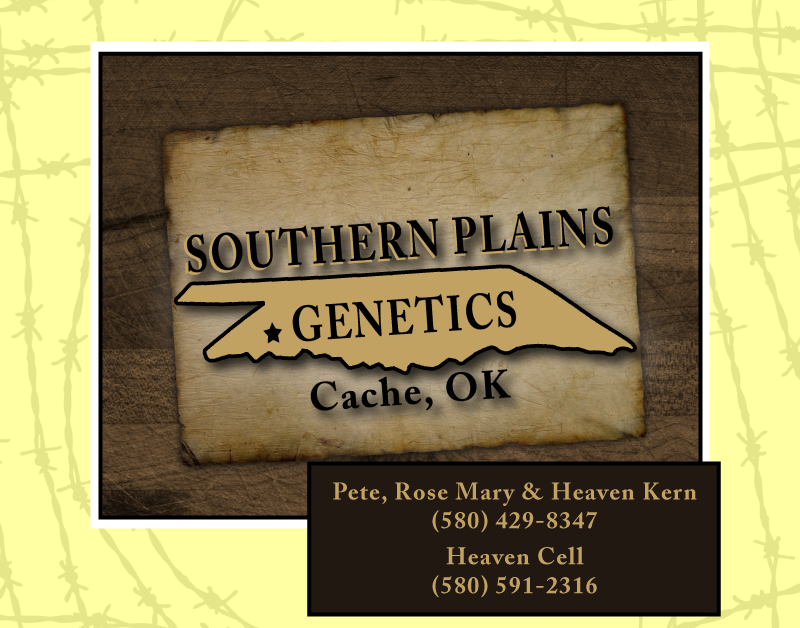 southern plains