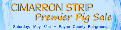 Cimarron Strip