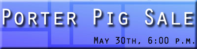 Porter Pig Sale