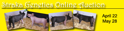 Straka Genetics Online Auctions
