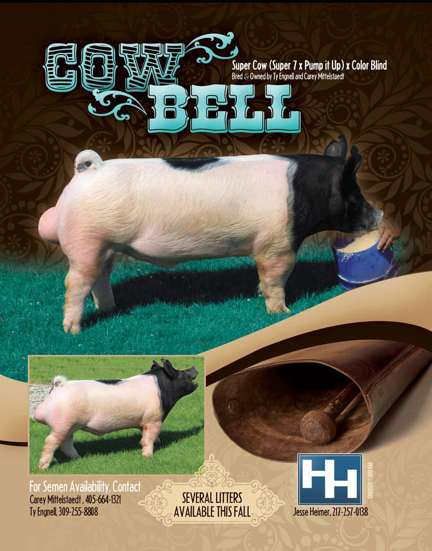 Heimer Hampshires Cow Bell