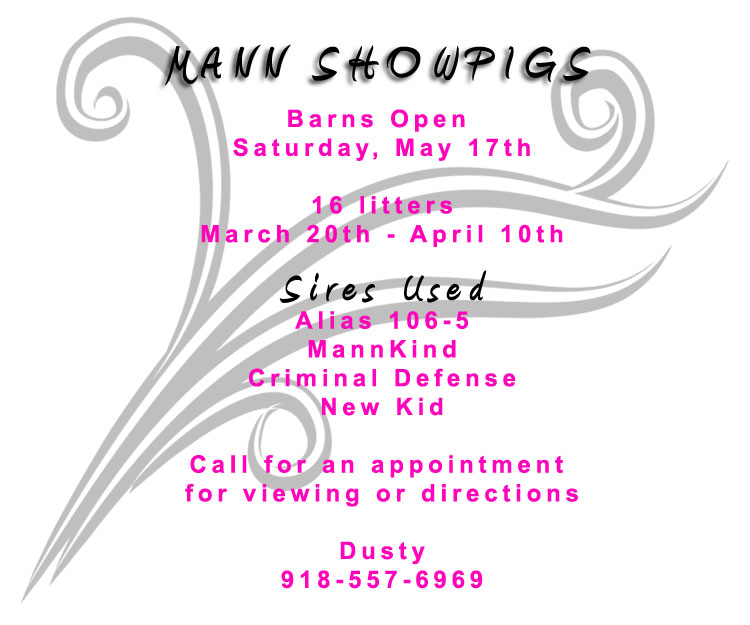 Mann Showpigs